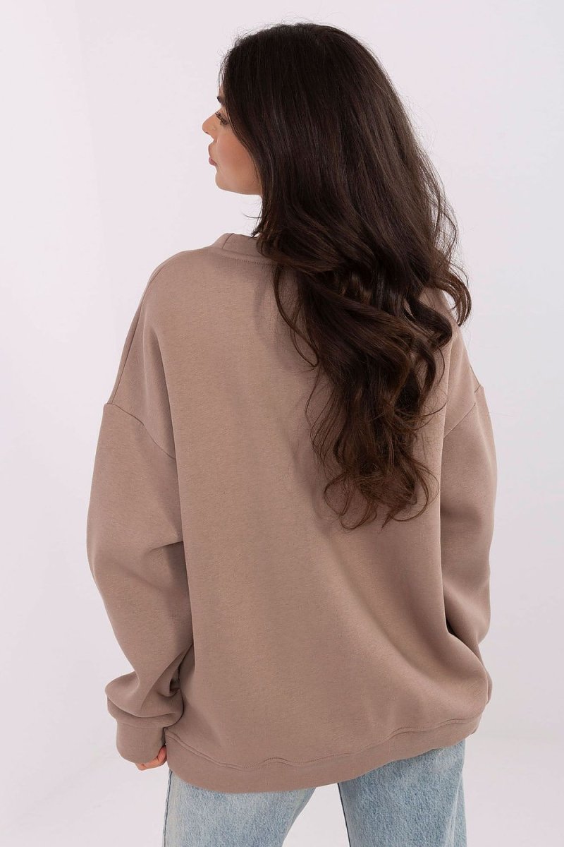 Brown Cotton Spandex Sweatshirt with Embroidery - 