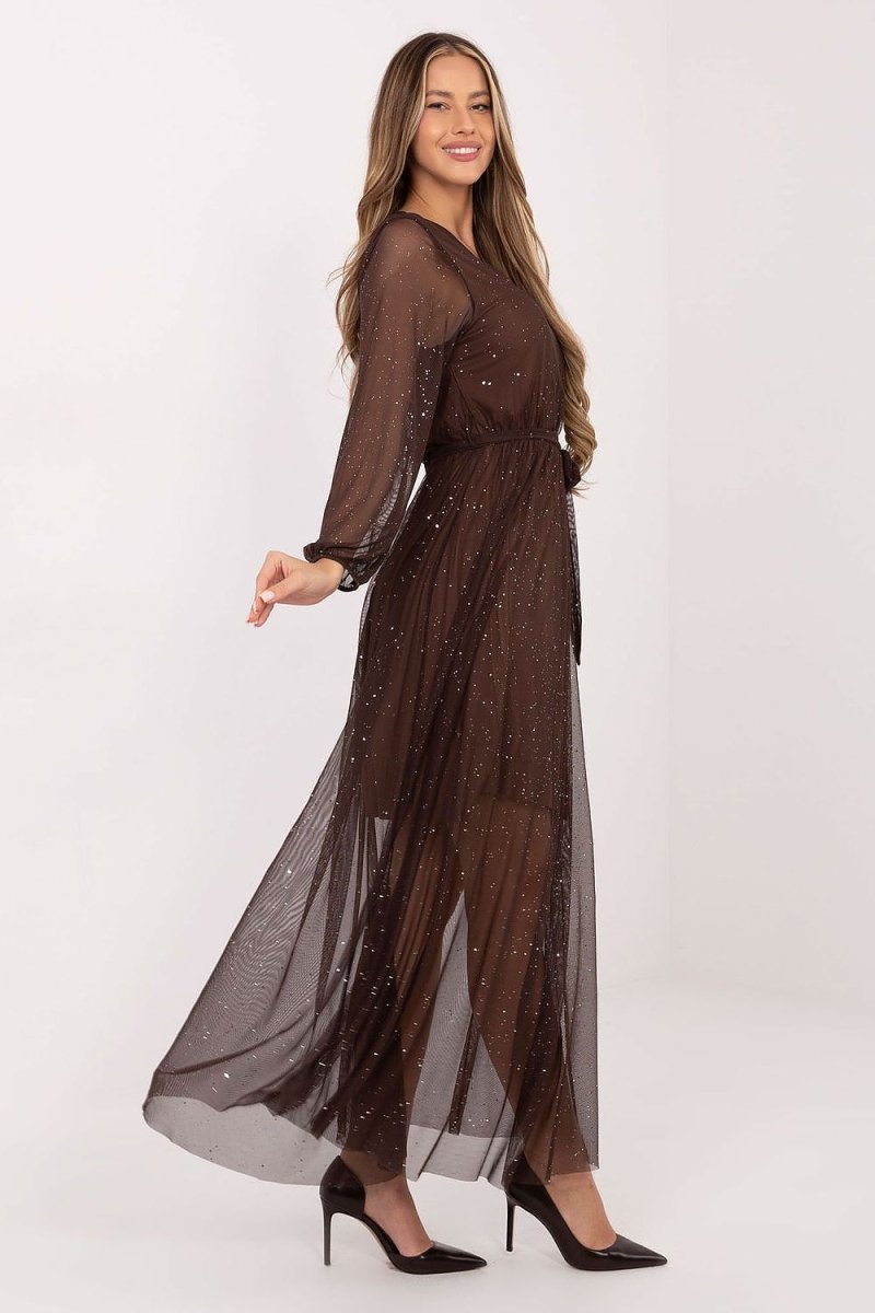 Elegant Mesh Maxi Dress - 