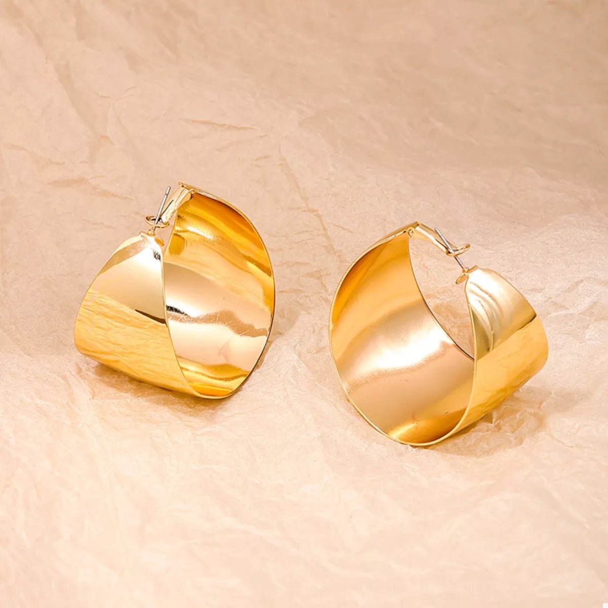 Gold & Silver Alloy Hoop Earrings - 