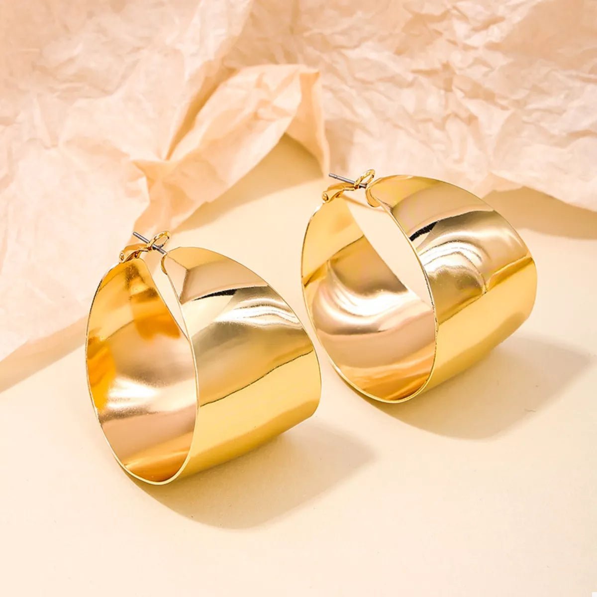 Gold & Silver Alloy Hoop Earrings - 