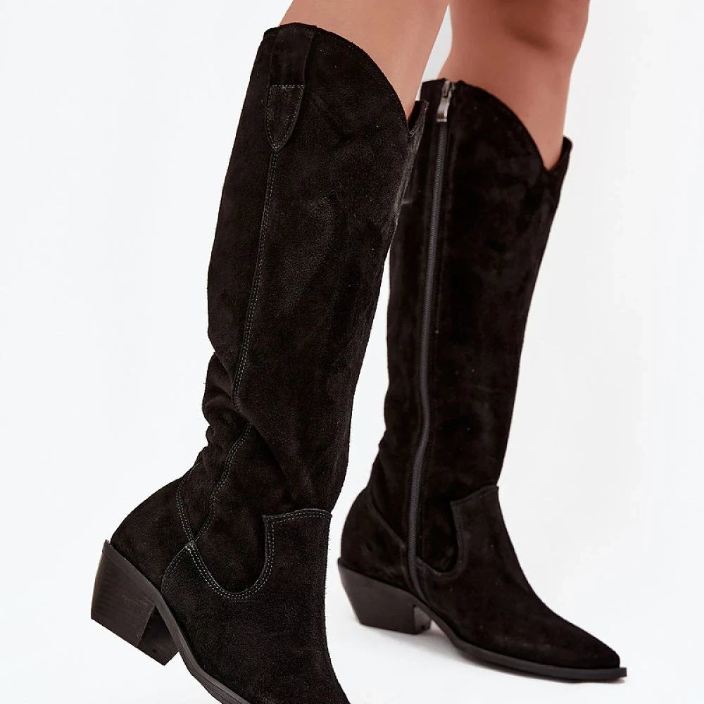 Suede Pointed Toe Heel Boots
