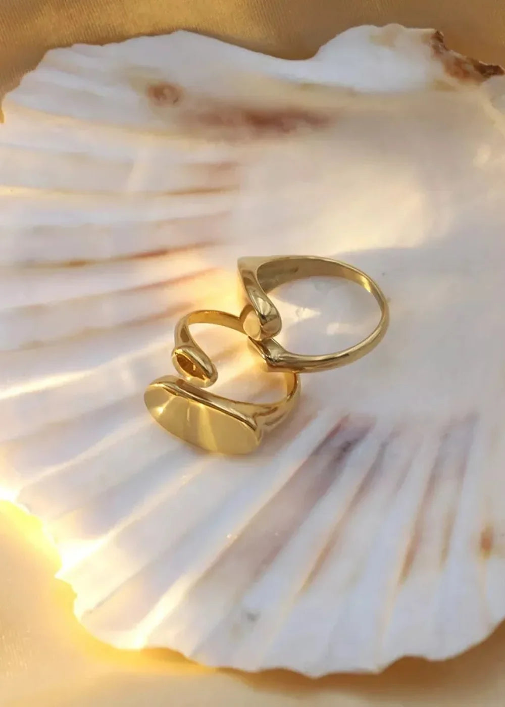 Gold rings with oval and geometric designs rest on a seashell.