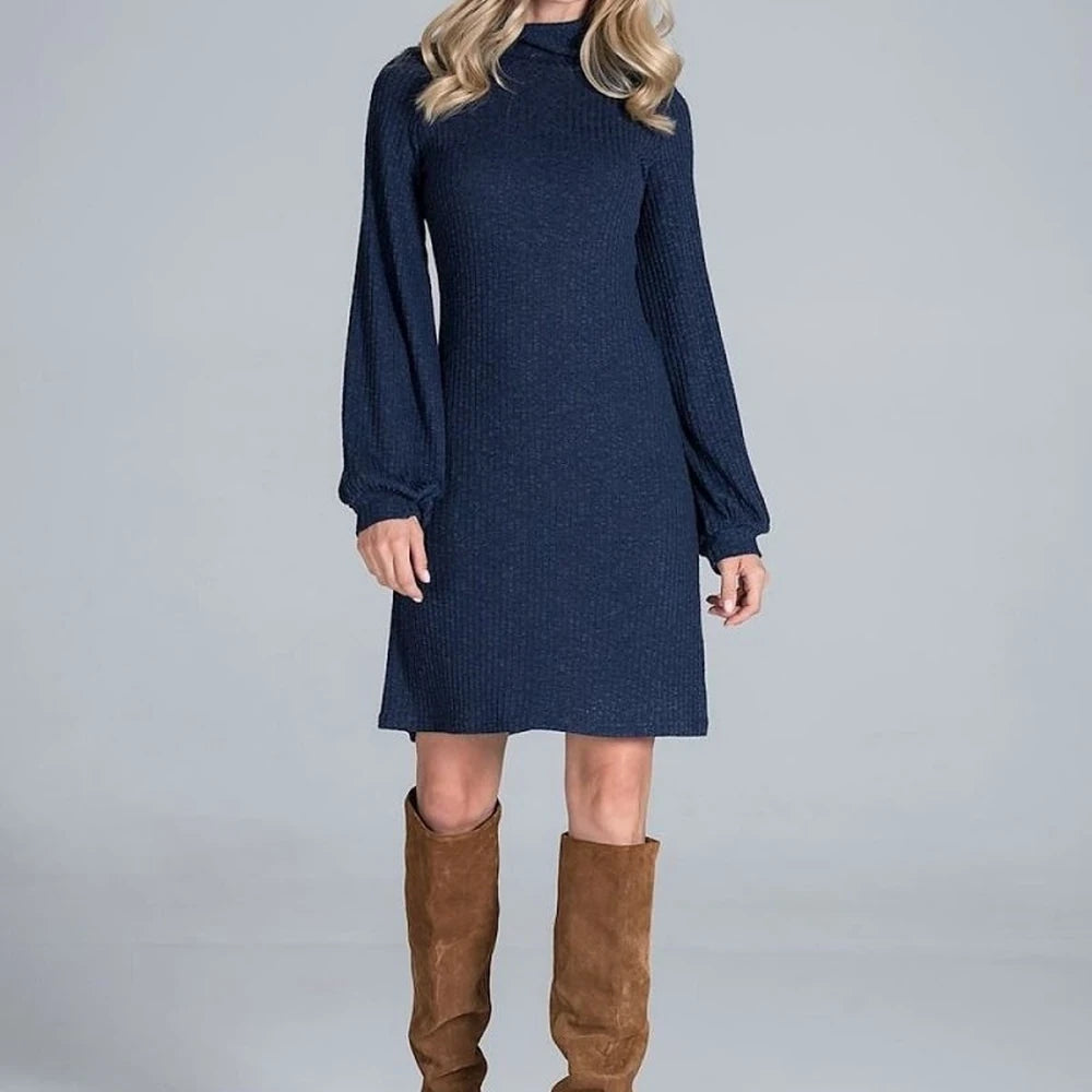 Ribbed Knit Turtleneck Midi Dress