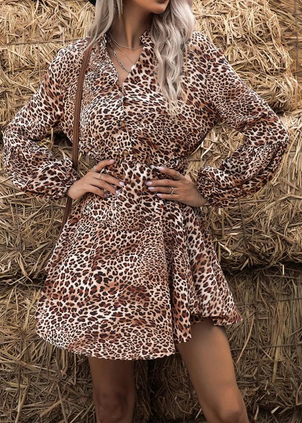 Leopard print long-sleeve mini dress with V-neck and cinched waist, on model.