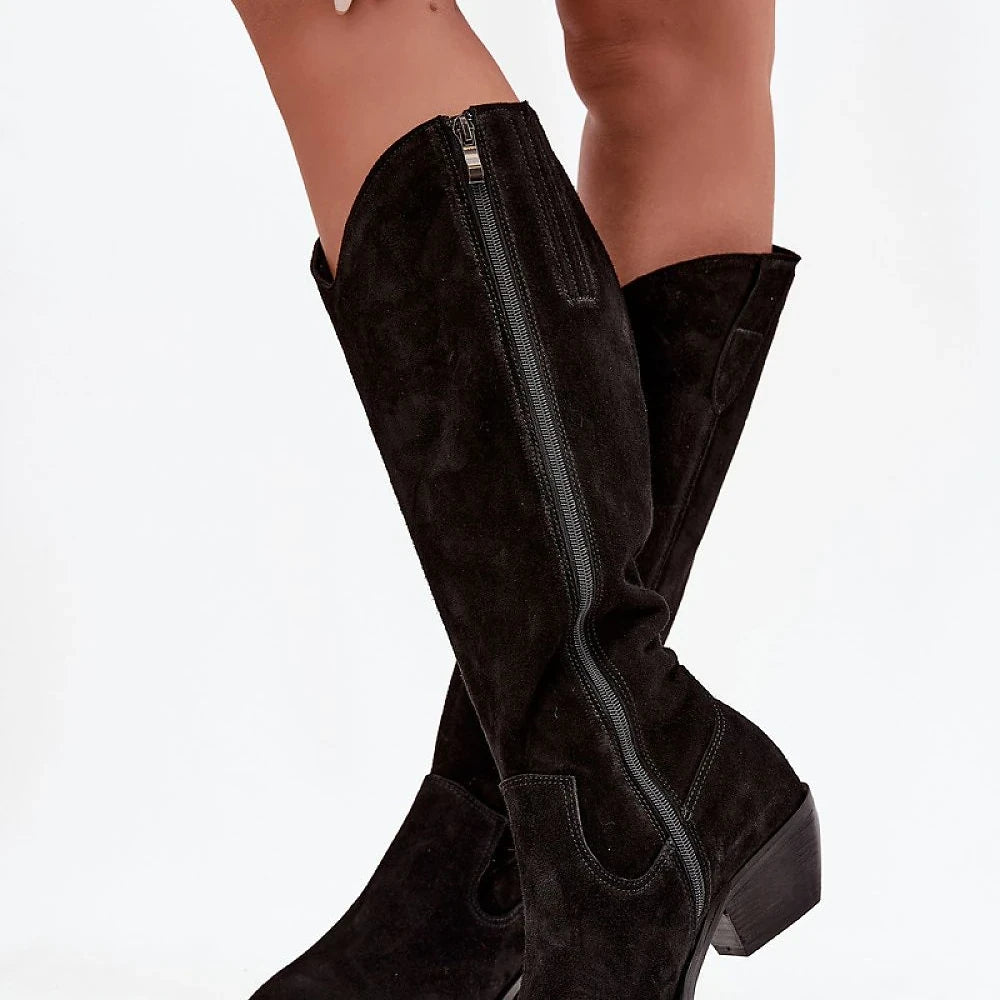 Suede Pointed Toe Heel Boots