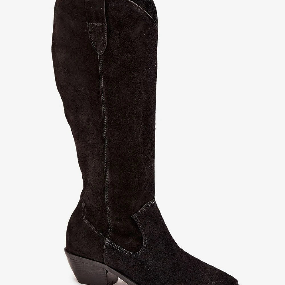 Suede Pointed Toe Heel Boots