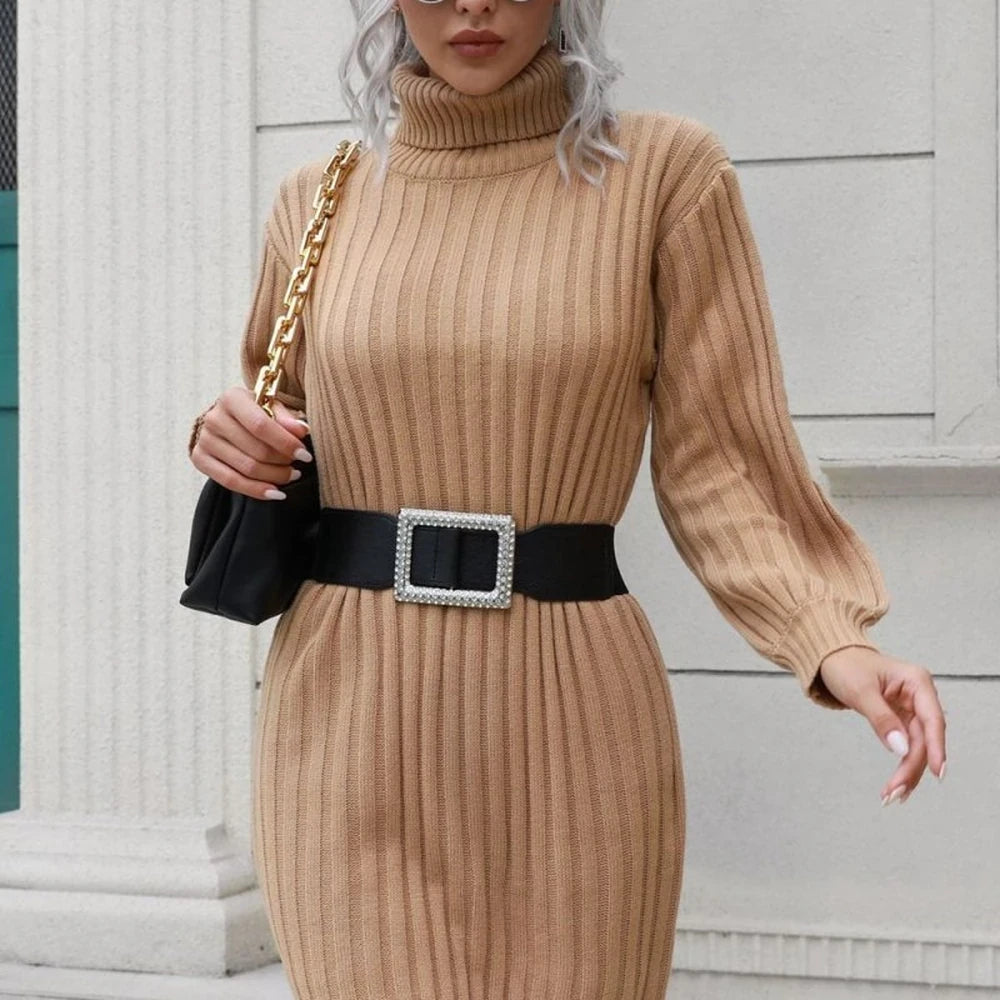 Ribbed Turtleneck Mini Sweater Dress