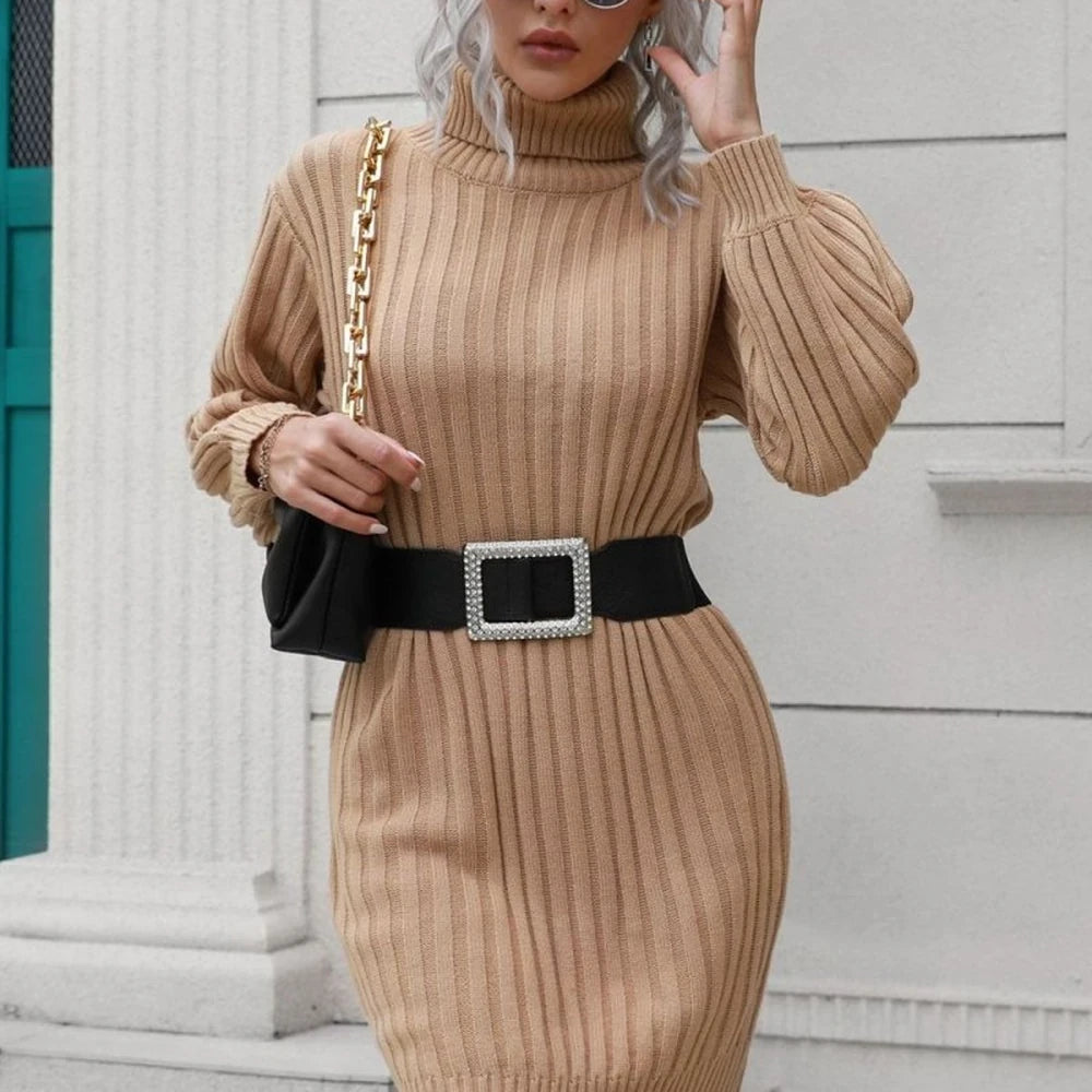Ribbed Turtleneck Mini Sweater Dress