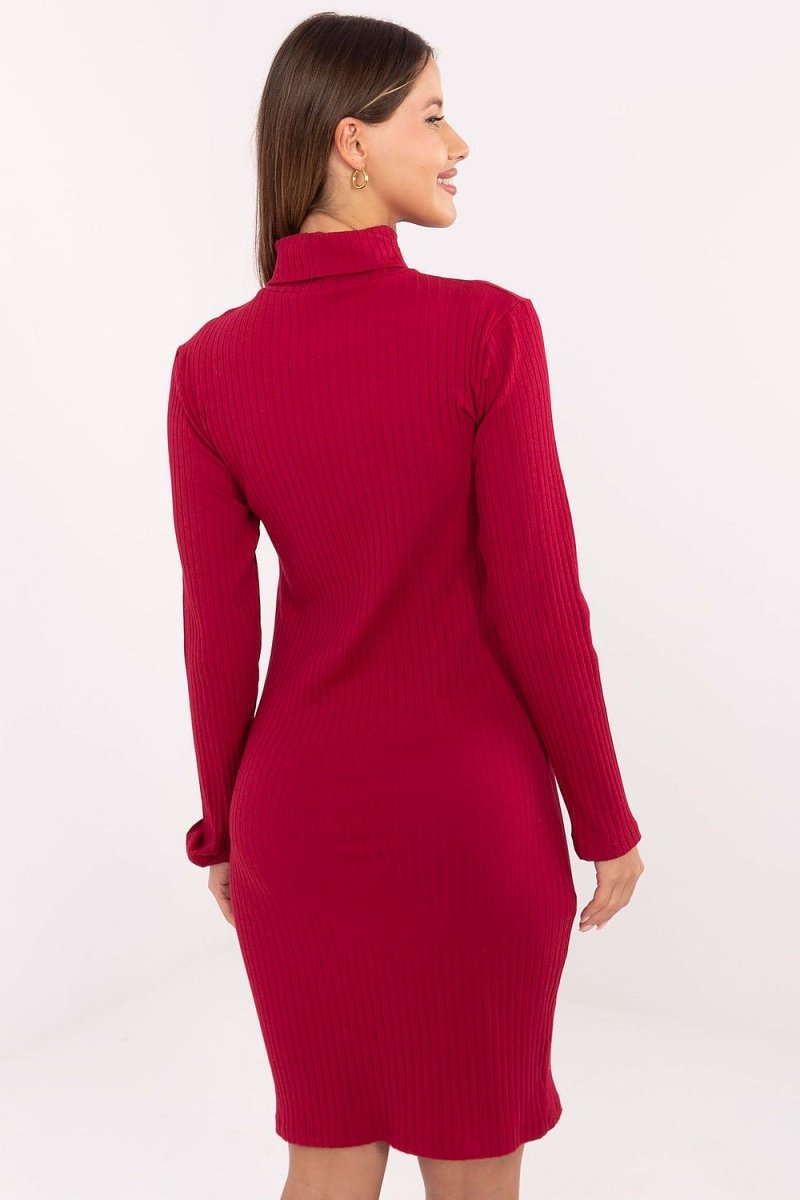 Ribbed Cotton Turtleneck Pencil Dress - 