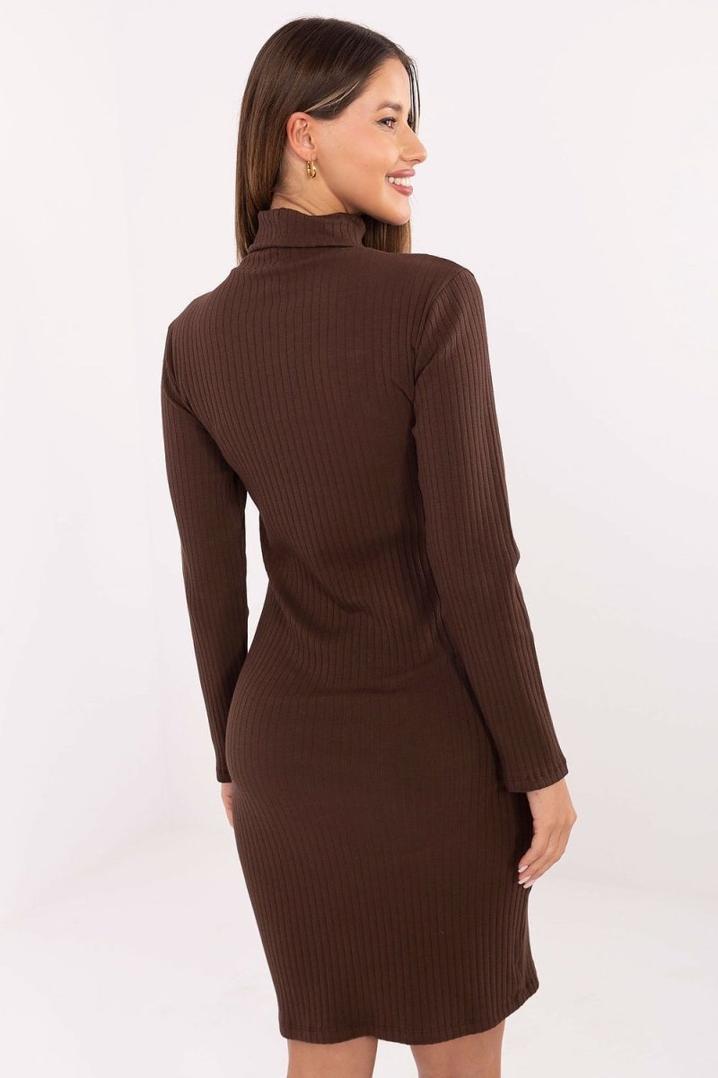 Ribbed Cotton Turtleneck Pencil Dress - 