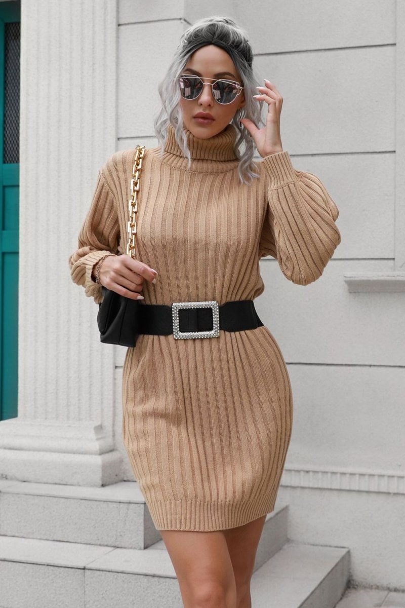 Ribbed Turtle Neck Long Sleeve Mini Sweater Dress - Sweater Dress