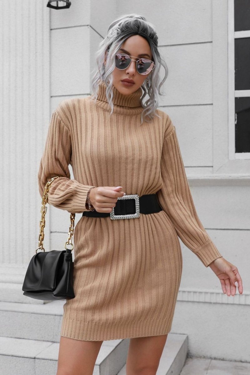 Ribbed Turtle Neck Long Sleeve Mini Sweater Dress - Sweater Dress
