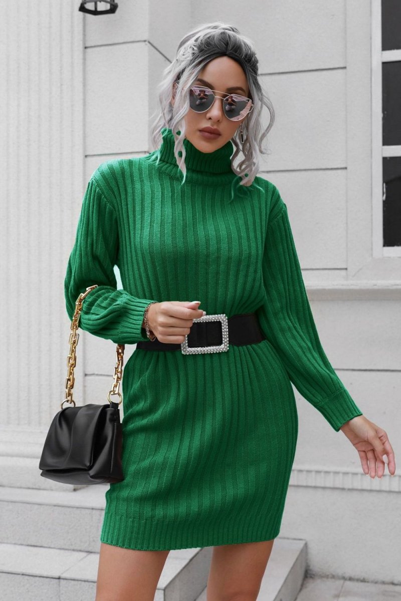 Ribbed Turtle Neck Long Sleeve Mini Sweater Dress - Sweater Dress