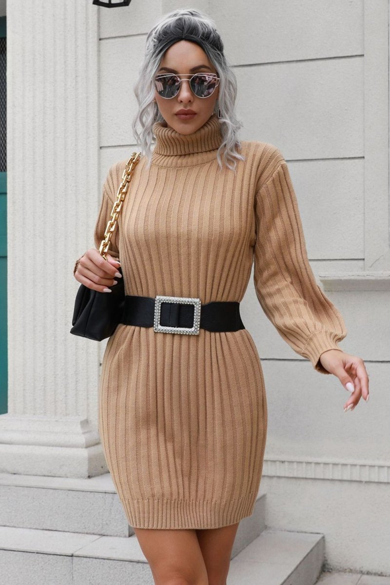 Ribbed Turtle Neck Long Sleeve Mini Sweater Dress - Sweater Dress