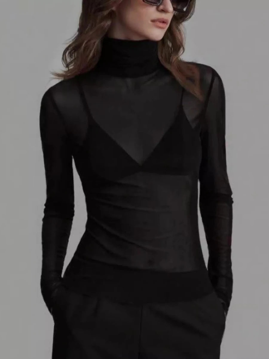 Sheer Mesh Turtleneck Top - 