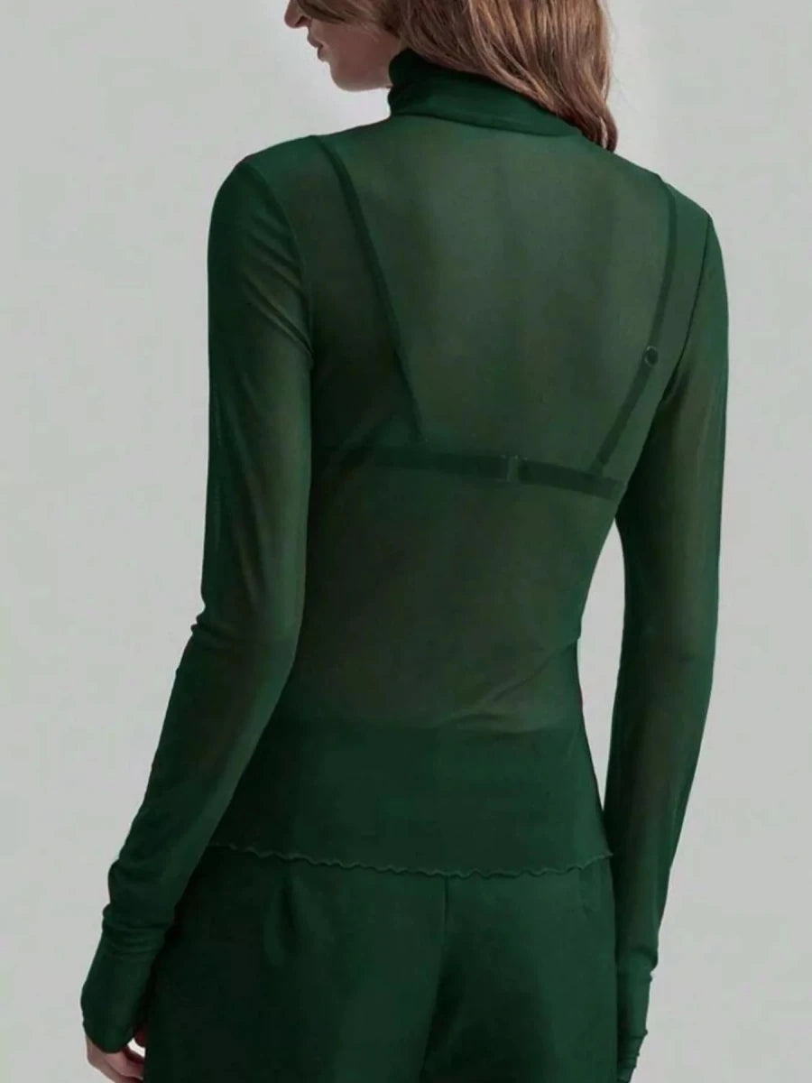 Sheer Mesh Turtleneck Top - 
