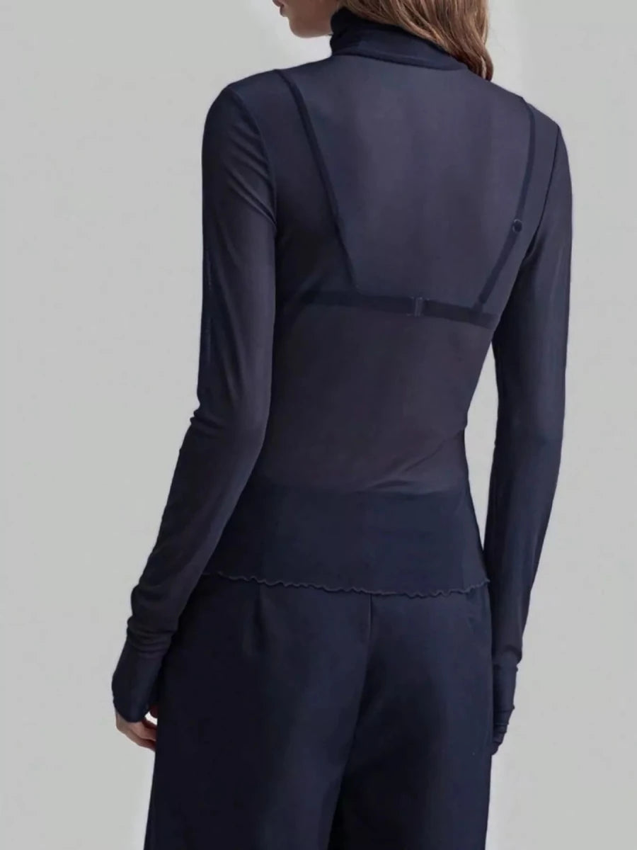 Sheer Mesh Turtleneck Top - 