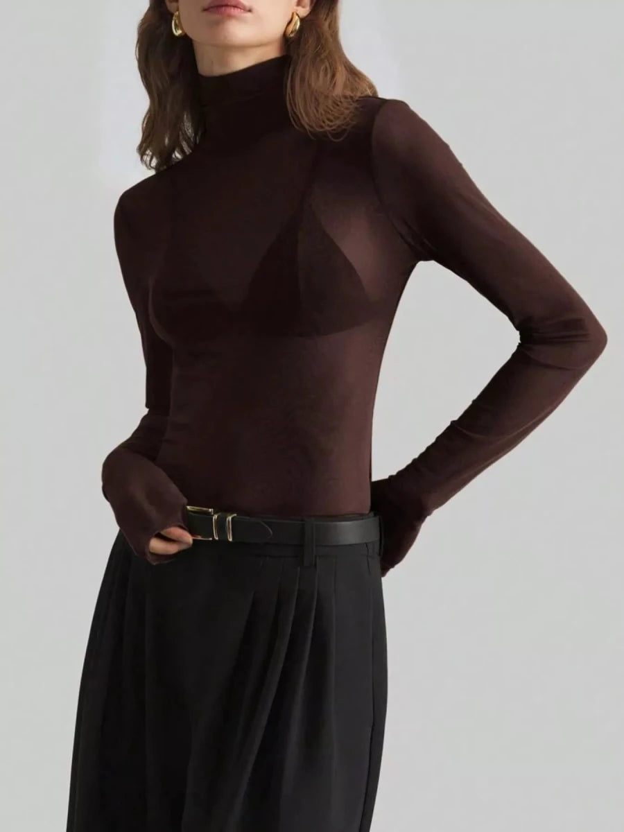 Sheer Mesh Turtleneck Top - 