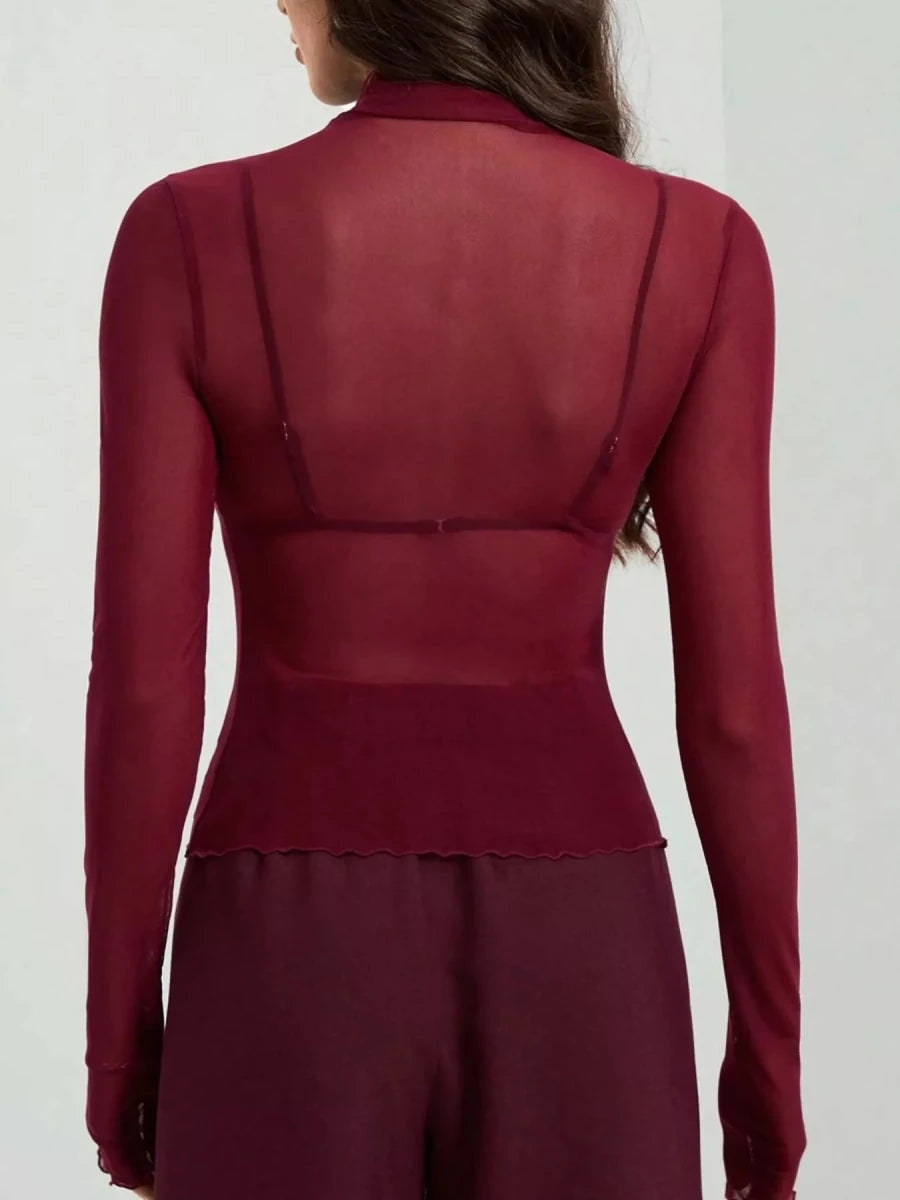 Sheer Mesh Turtleneck Top - 