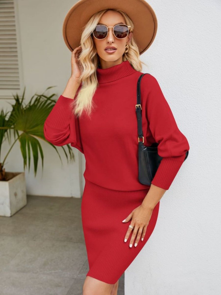 Turtle Neck Long Sleeve Ribbed Sweater Dress - Sweater Dress