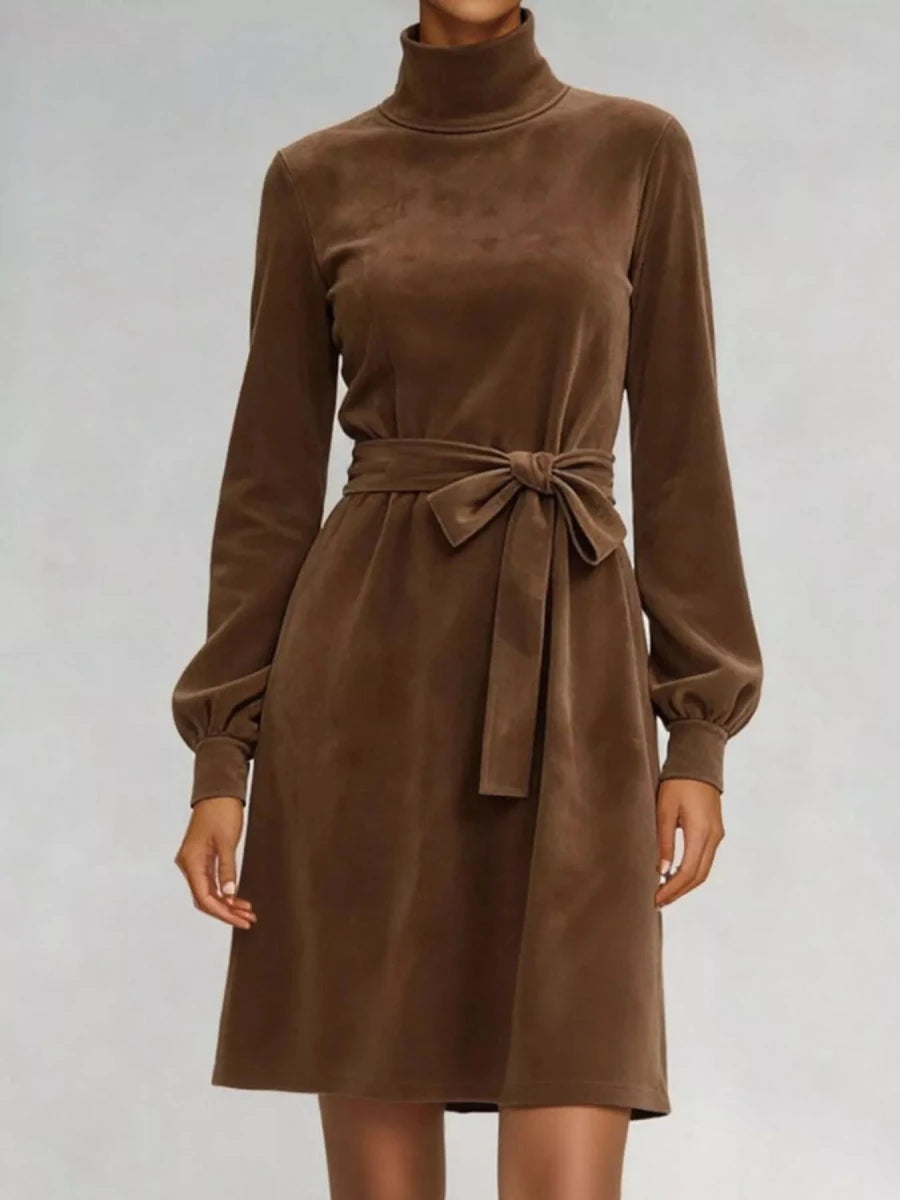Velvet Turtleneck Lantern Sleeve Dress - 