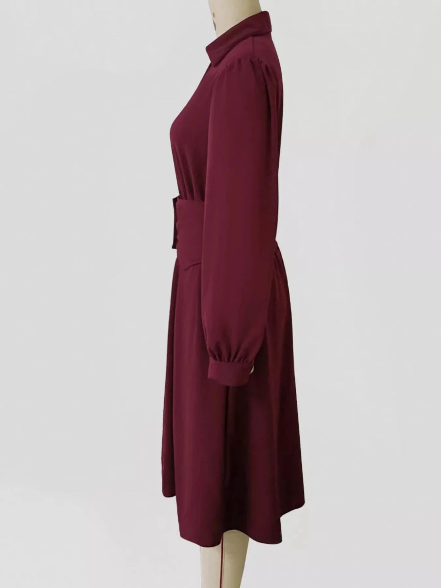 Women's Buttoned Pleated Midi Dress - 