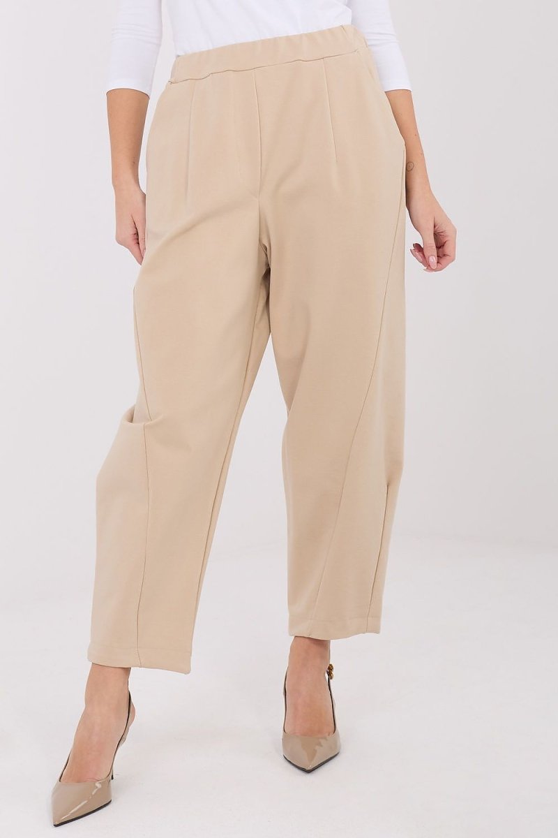 Women's Trousers High Waist Tapered Leg - 